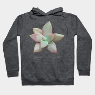 Pink Green Succulent Hoodie